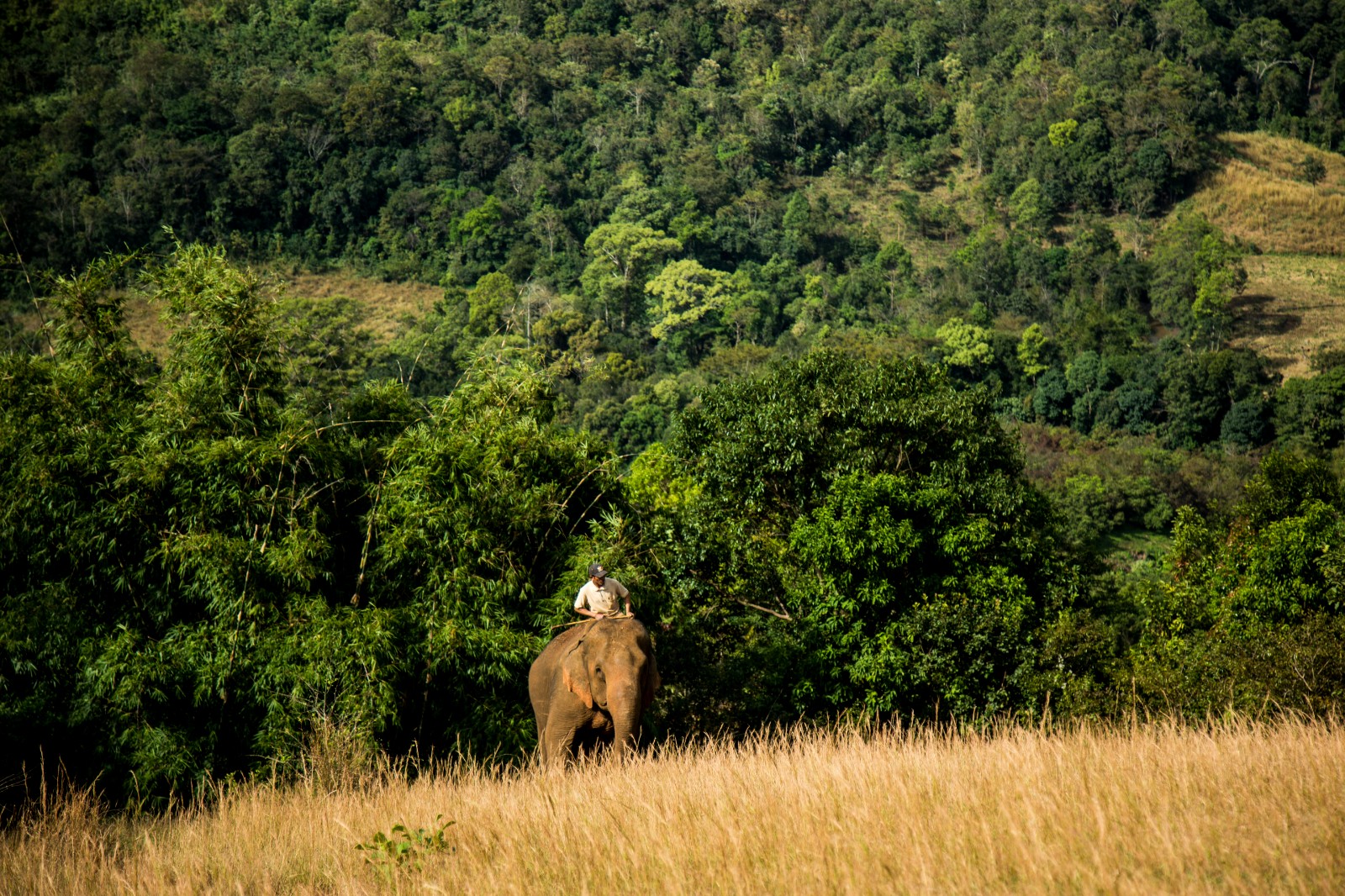 1671604866480227.jpg 1671604866480227.jpg