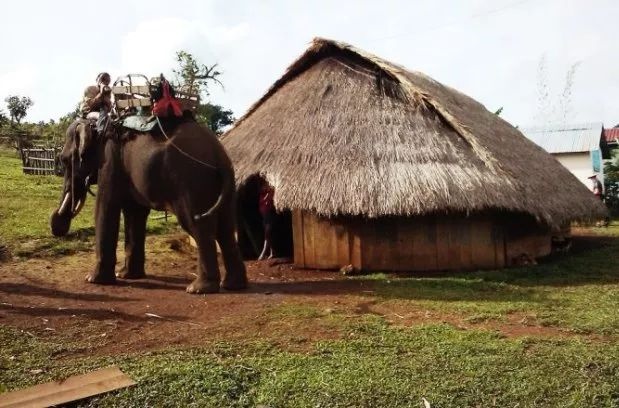 1672389885835790.jpg 1672389885835790.jpg