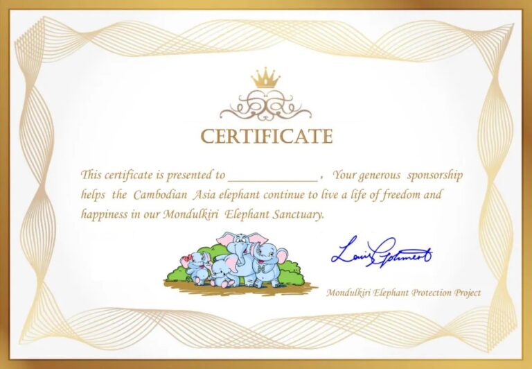 1672390223703771.jpg 1672390223703771.jpg