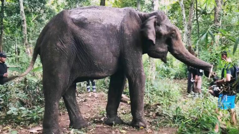 1672390397168936.jpg 1672390397168936.jpg