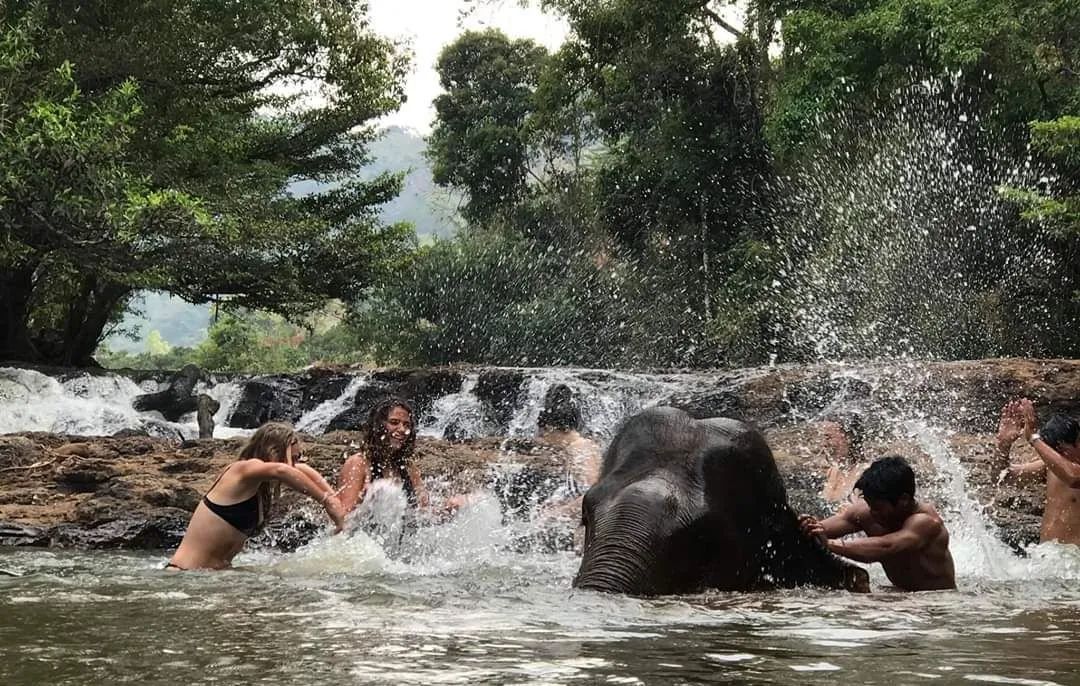 1672390397655690.jpg 1672390397655690.jpg