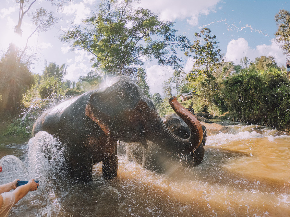 1672390442487349.jpg 1672390442487349.jpg