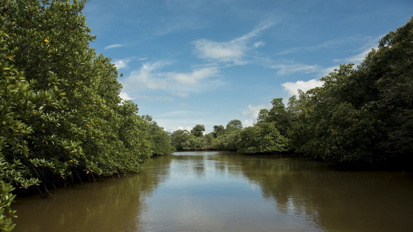 1673573008240657.jpg 1673573008240657.jpg