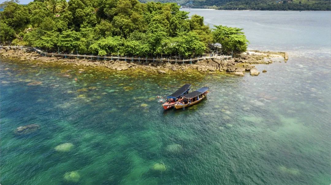 1682044111466175.jpg 1682044111466175.jpg