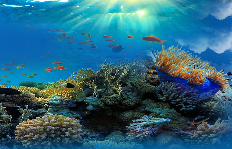 1682044302513750.png 1682044302513750.png